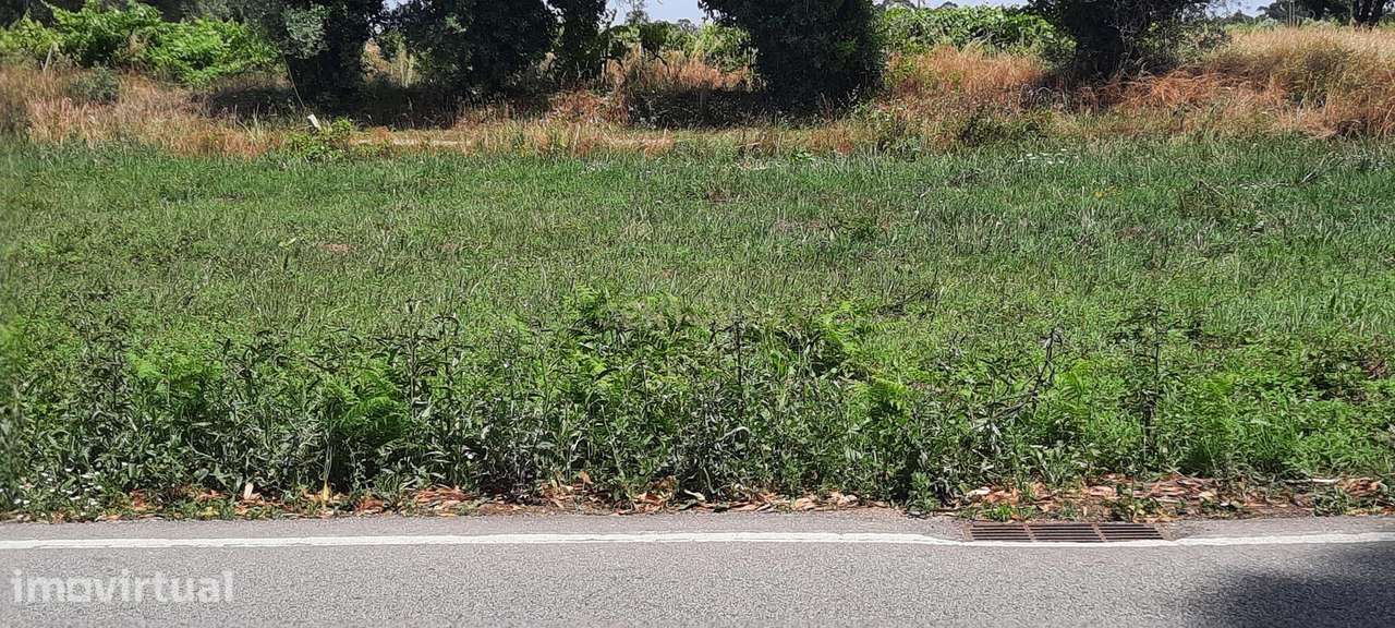 Terreno à venda em Ouca, Vagos - 44.500€ - Grande imagem: 3/9