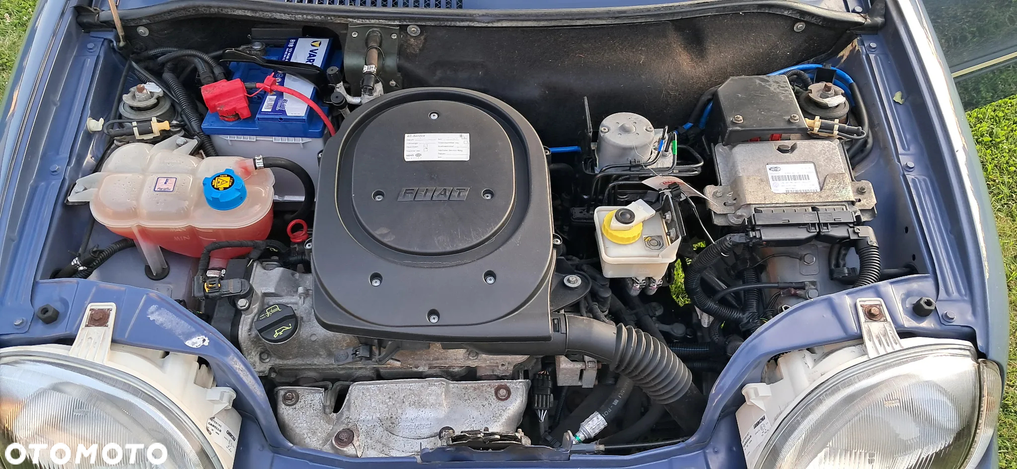 Fiat 600 - 12