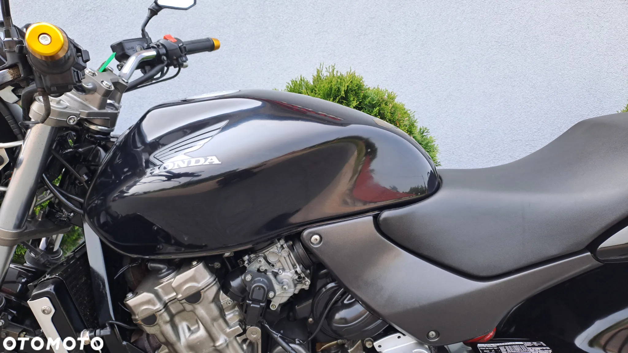 Honda Hornet - 30
