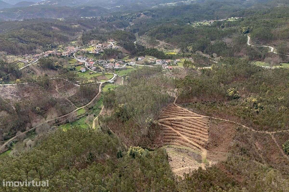 Terreno  para venda - Grande imagem: 4/10