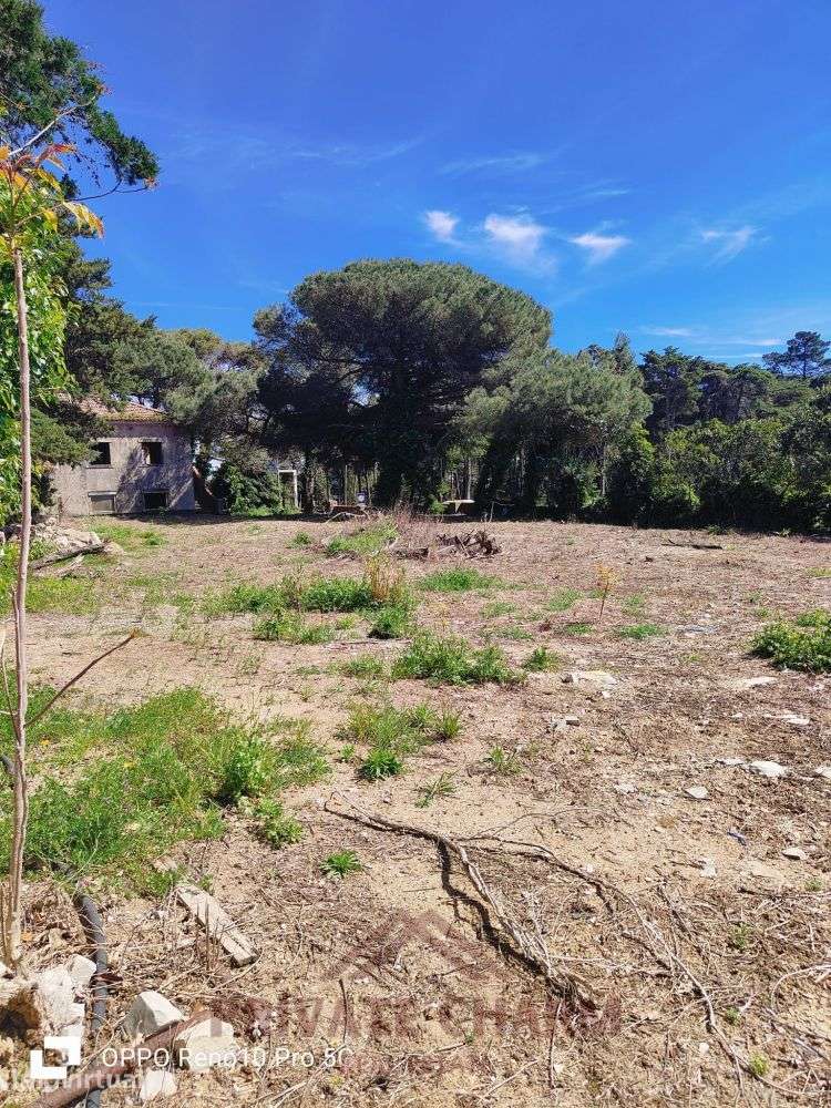 Terreno com 4.404m2 - Grande imagem: 3/8