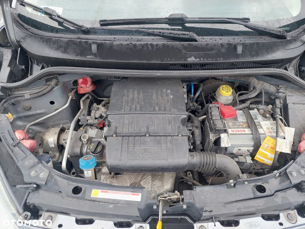 Ford KA - 24