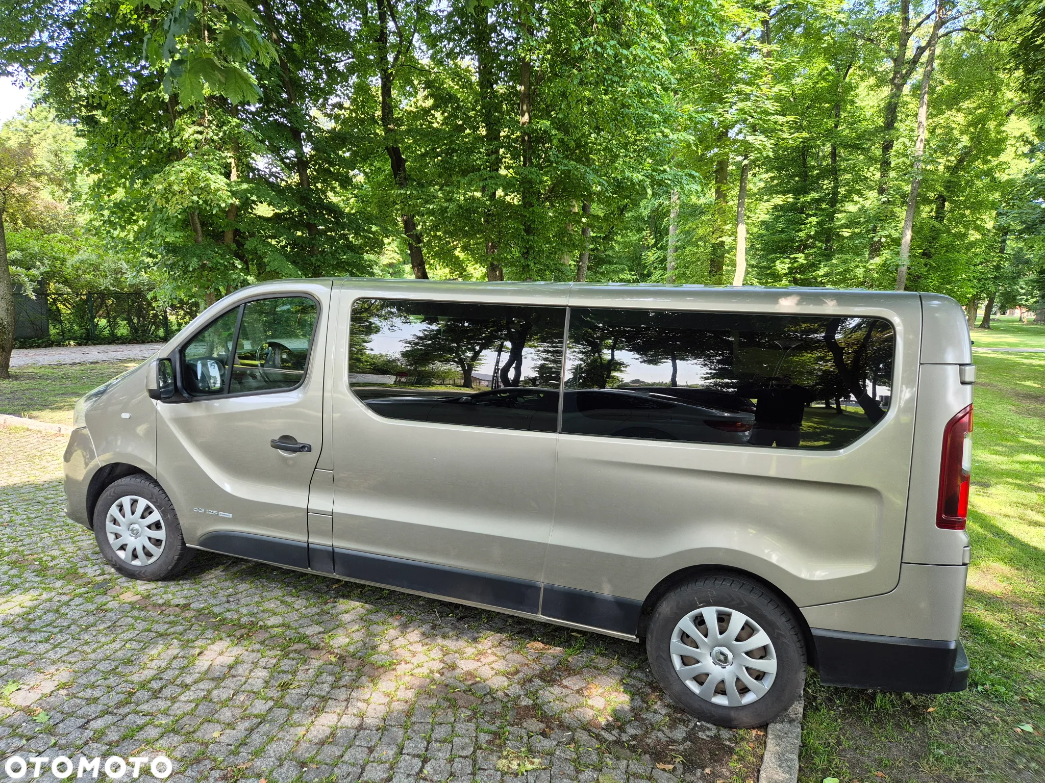 Renault Trafic - 3
