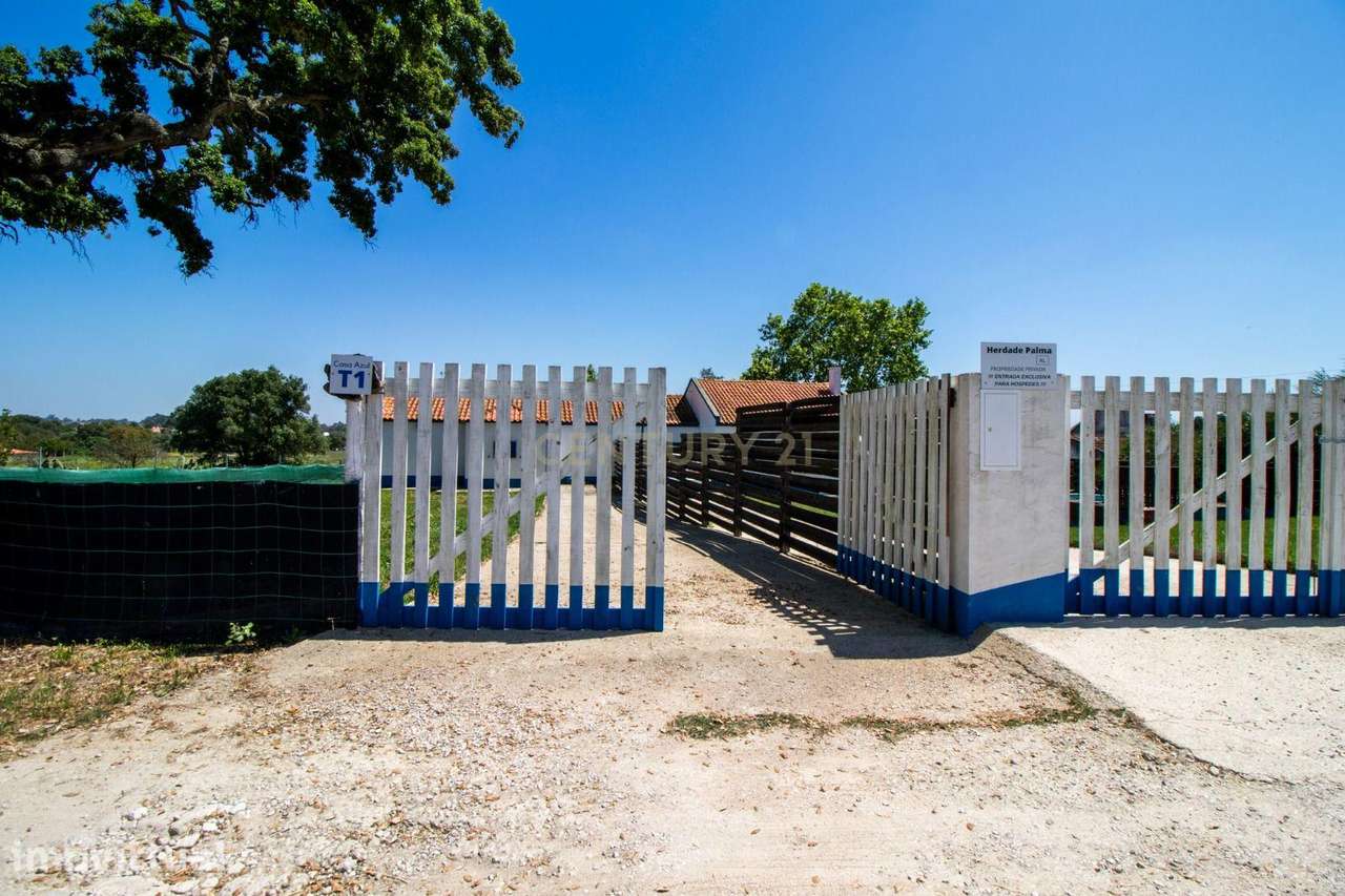 Herdade de 26 000 m2 exclusiva no Penteado – Natureza, Privacidade e R - Grande imagem: 4/22