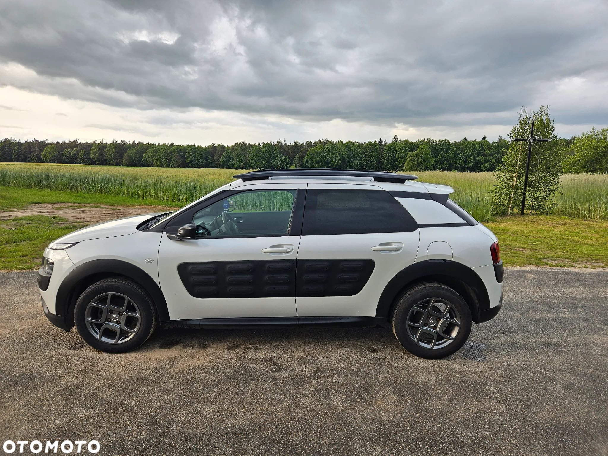Citroën C4 Cactus - 4