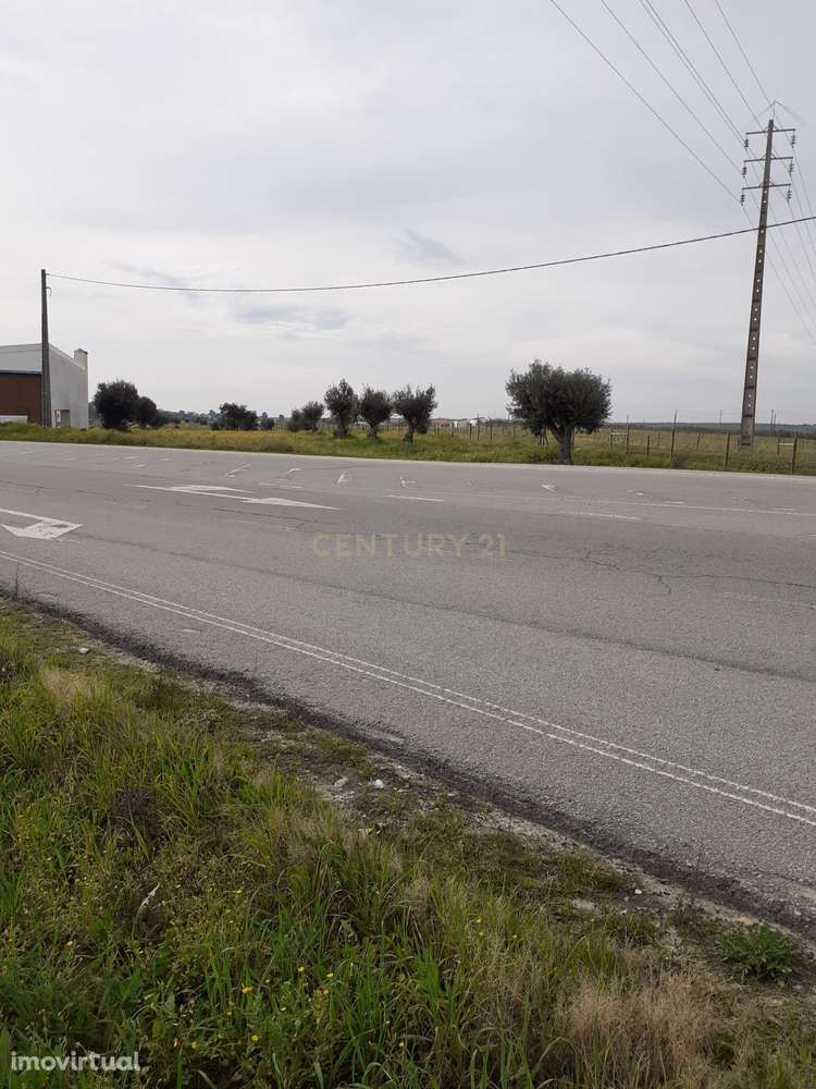 Terreno ás portas de Reguengos de Monsaraz - Grande imagem: 2/29