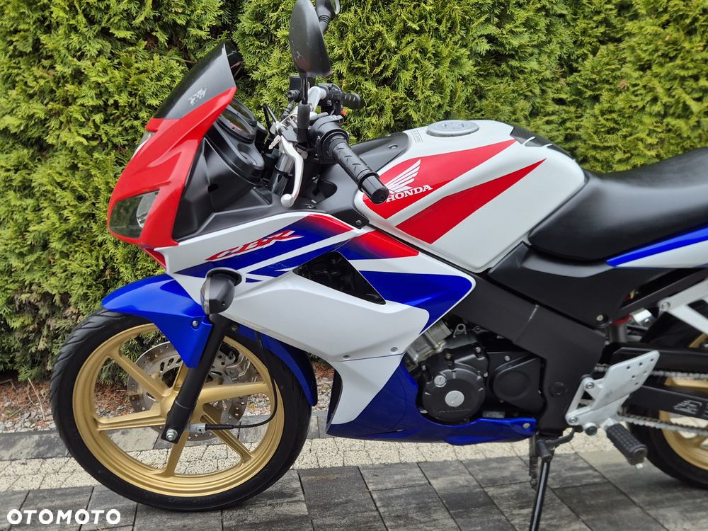 Honda CBR - 17