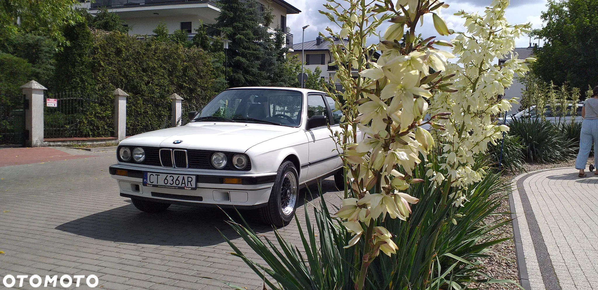 BMW Seria 3 318i - 15