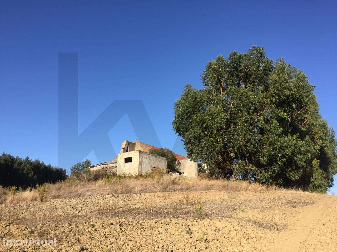Excelente propriedade com 47,5 ha a 15 minutos de Alenquer
