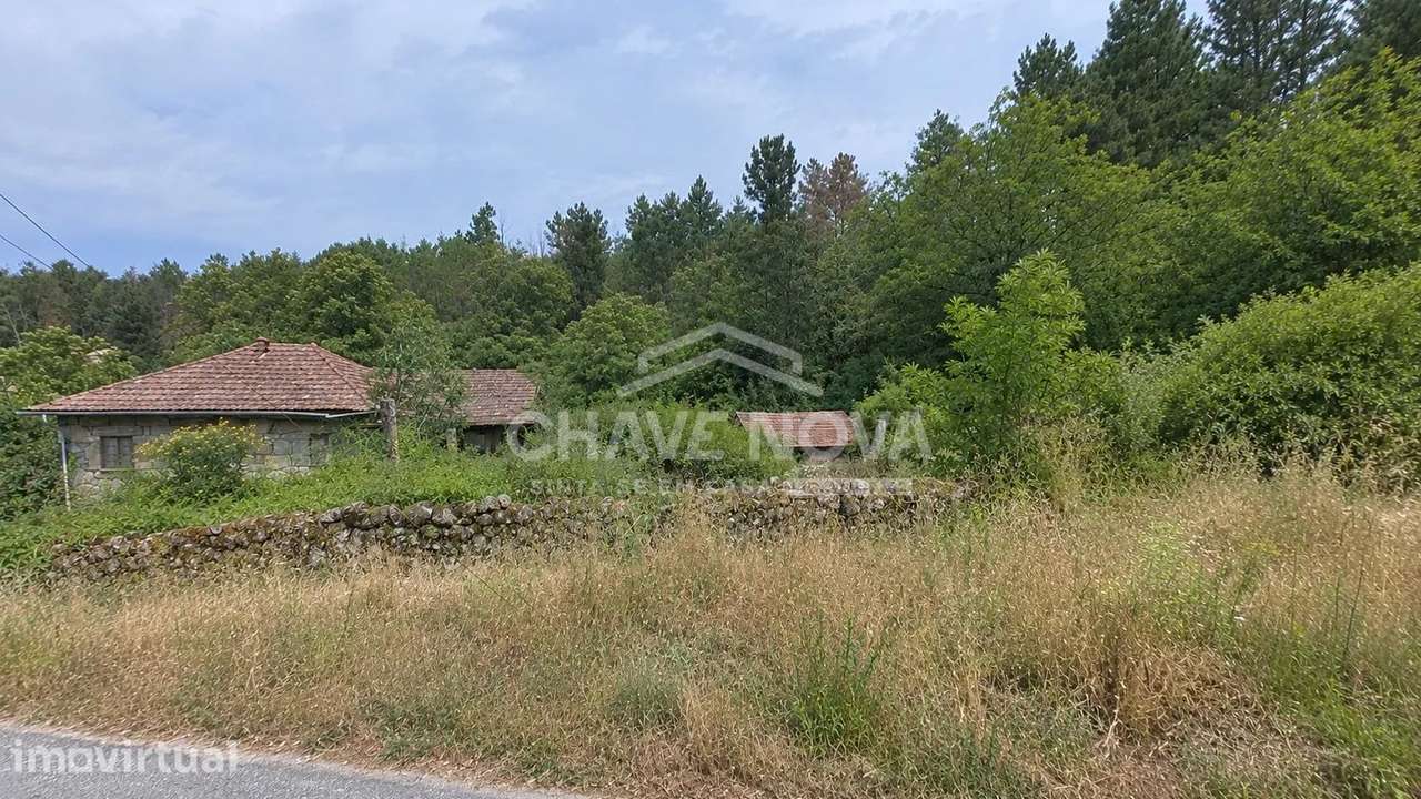 Terrenos c/ casa Rustica-Oportunidade de Investirmento. V.P.Aguiar . - Grande imagem: 4/5