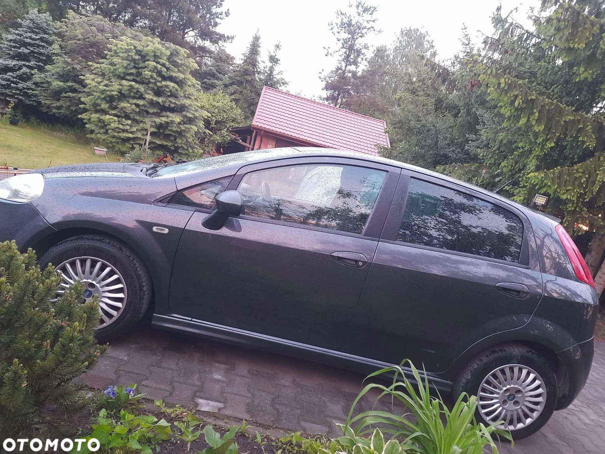 Fiat Punto - 3