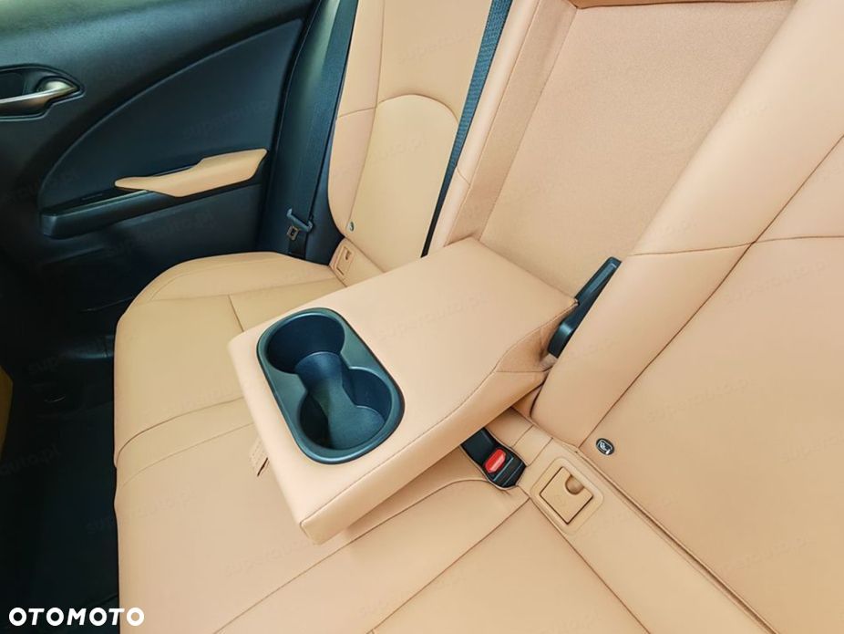 Lexus UX 300h F Sport - 13