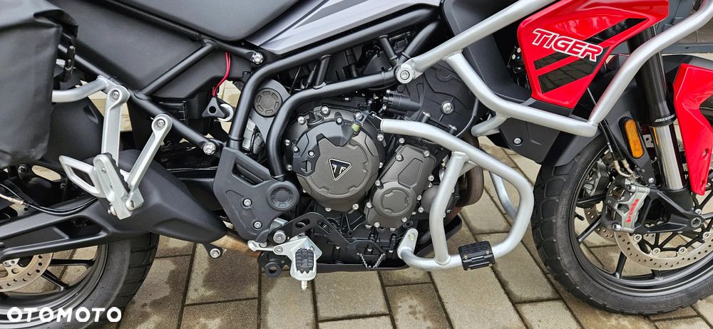 Triumph Tiger - 23