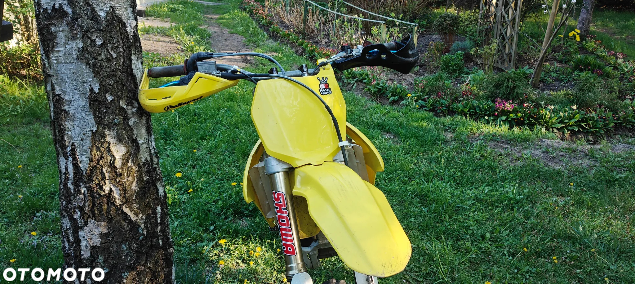 Suzuki RM-Z