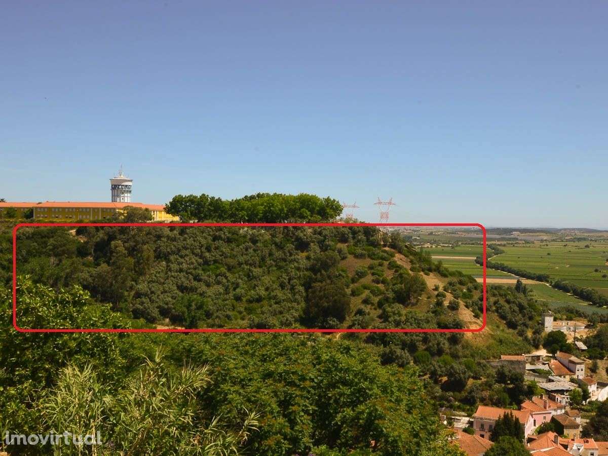 Quinta com 34090m2 - Grande imagem: 2/15