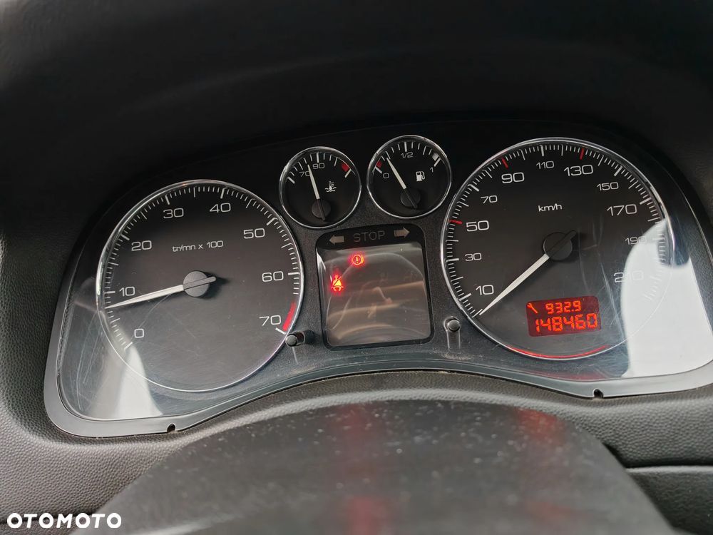 Peugeot 307 1.6 Sporty - 17