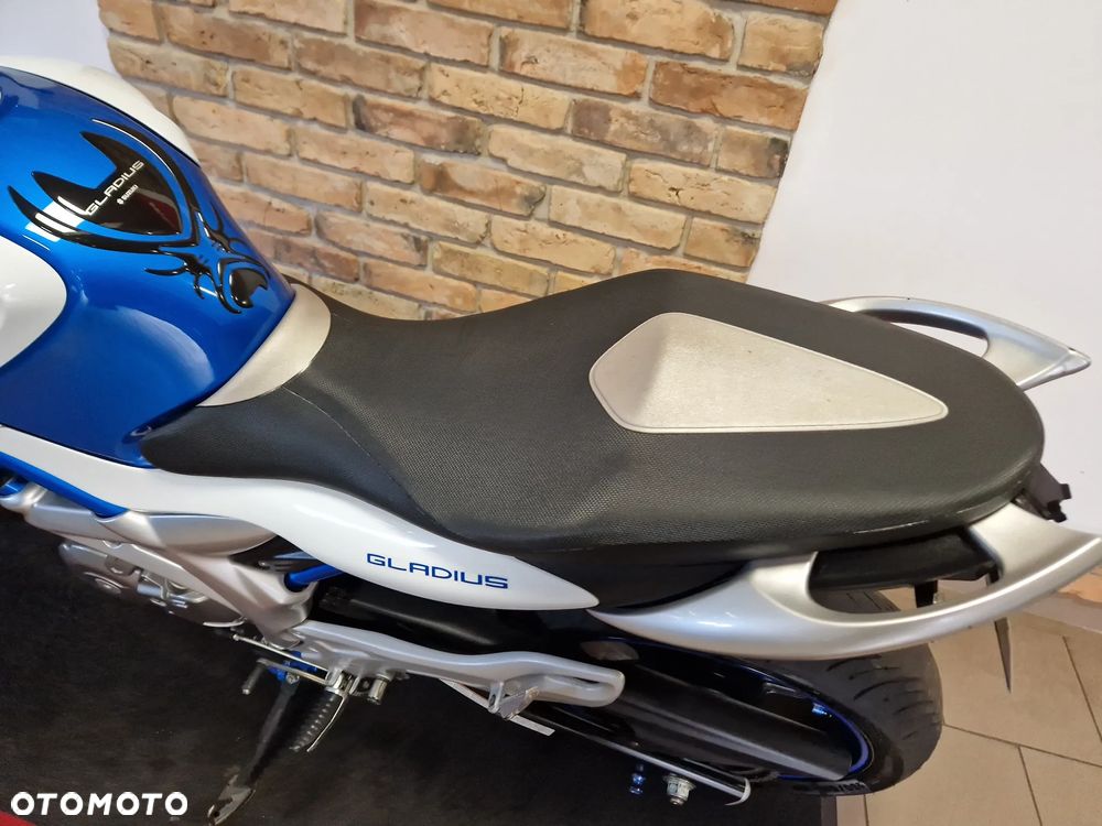 Suzuki Gladius - 29