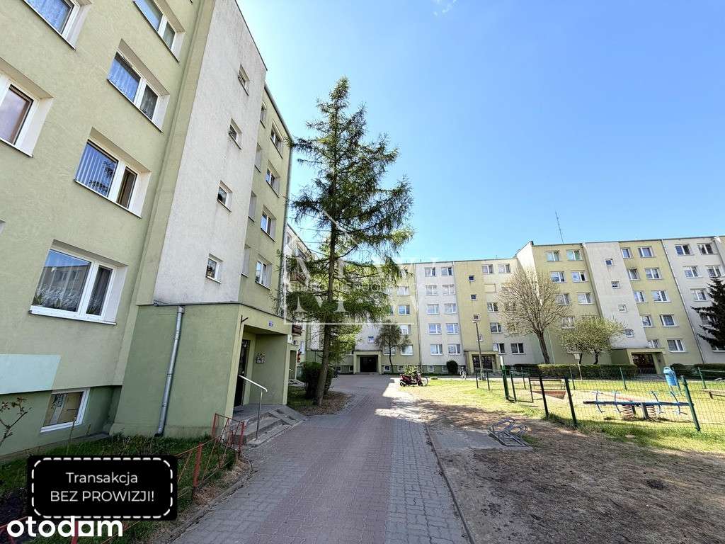 4 pokojowe mieszkanie na osiedlu Rąbin!
