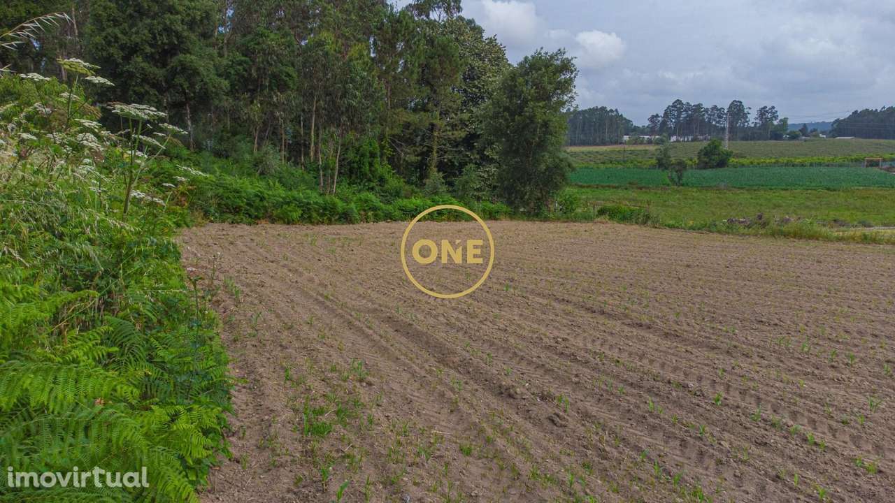 Terreno com Potencial para Construção – Mosteiro, Vila do Conde - Grande imagem: 4/10