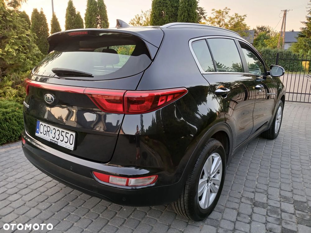 Kia Sportage - 14