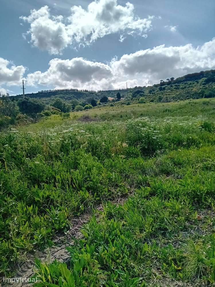 Arruda dos Vinhos - Terreno Rústico - Venda/Permuta - Grande imagem: 3/4