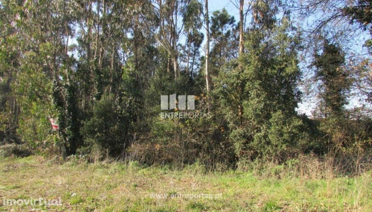 Venda de Terreno, Rio Mau, Vila do Conde - Grande imagem: 4/9