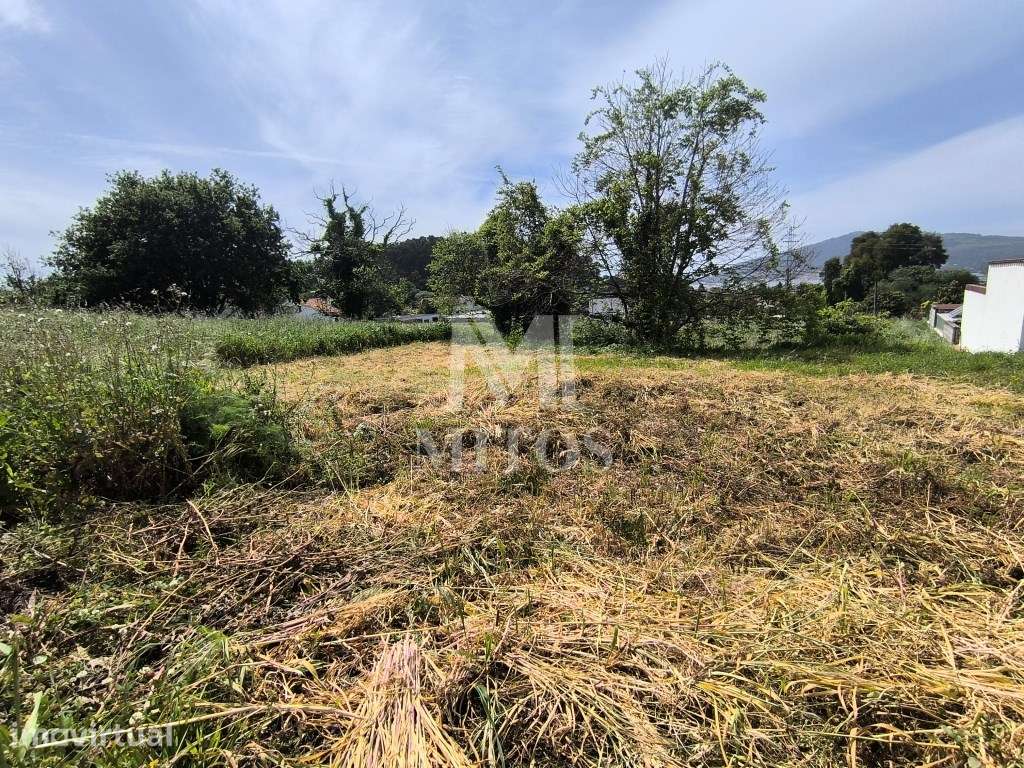 Lote de terreno para construção em Seixas - Caminha - Grande imagem: 3/10