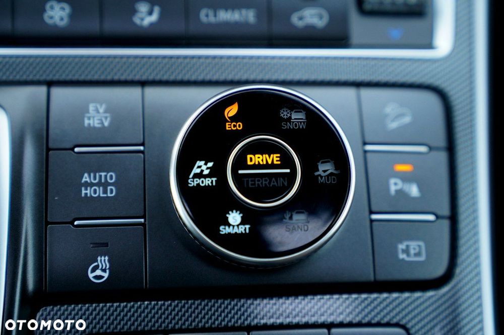 Hyundai Santa Fe - 40