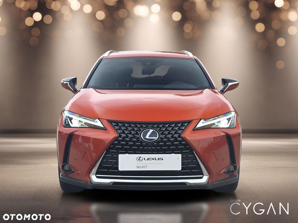 Lexus UX 250h GPF Business Edition 2WD - 10