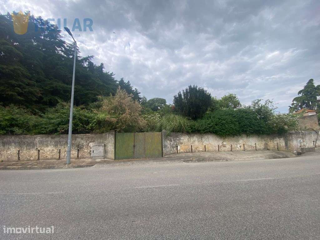 Alenquer - Terreno 1.500 m2 - Grande imagem: 5/14