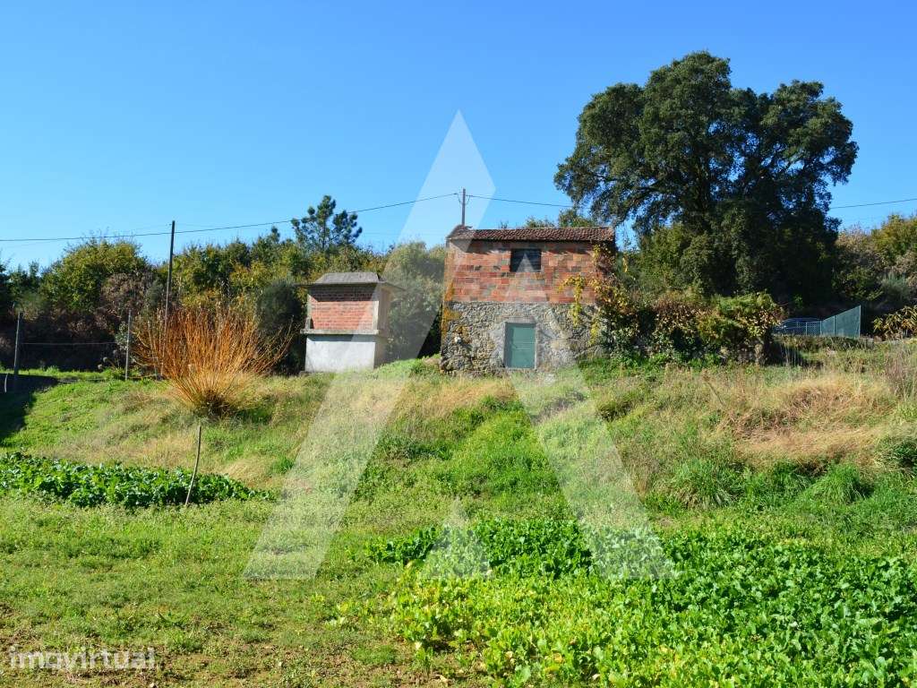Terreno para construção em Rocas do Vouga! - Grande imagem: 2/20
