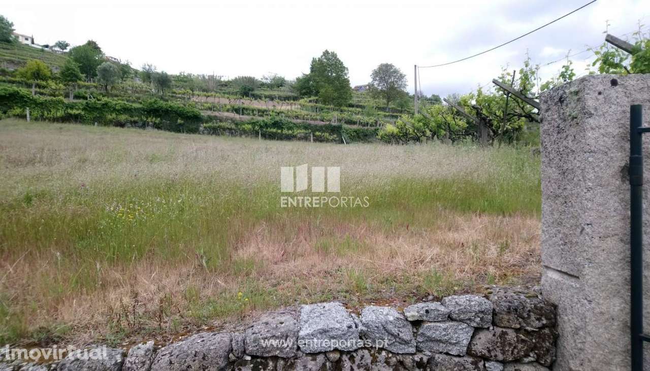 Venda Terreno, Gestaçô, Baião - Grande imagem: 2/6