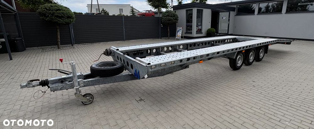 Wiola - 1