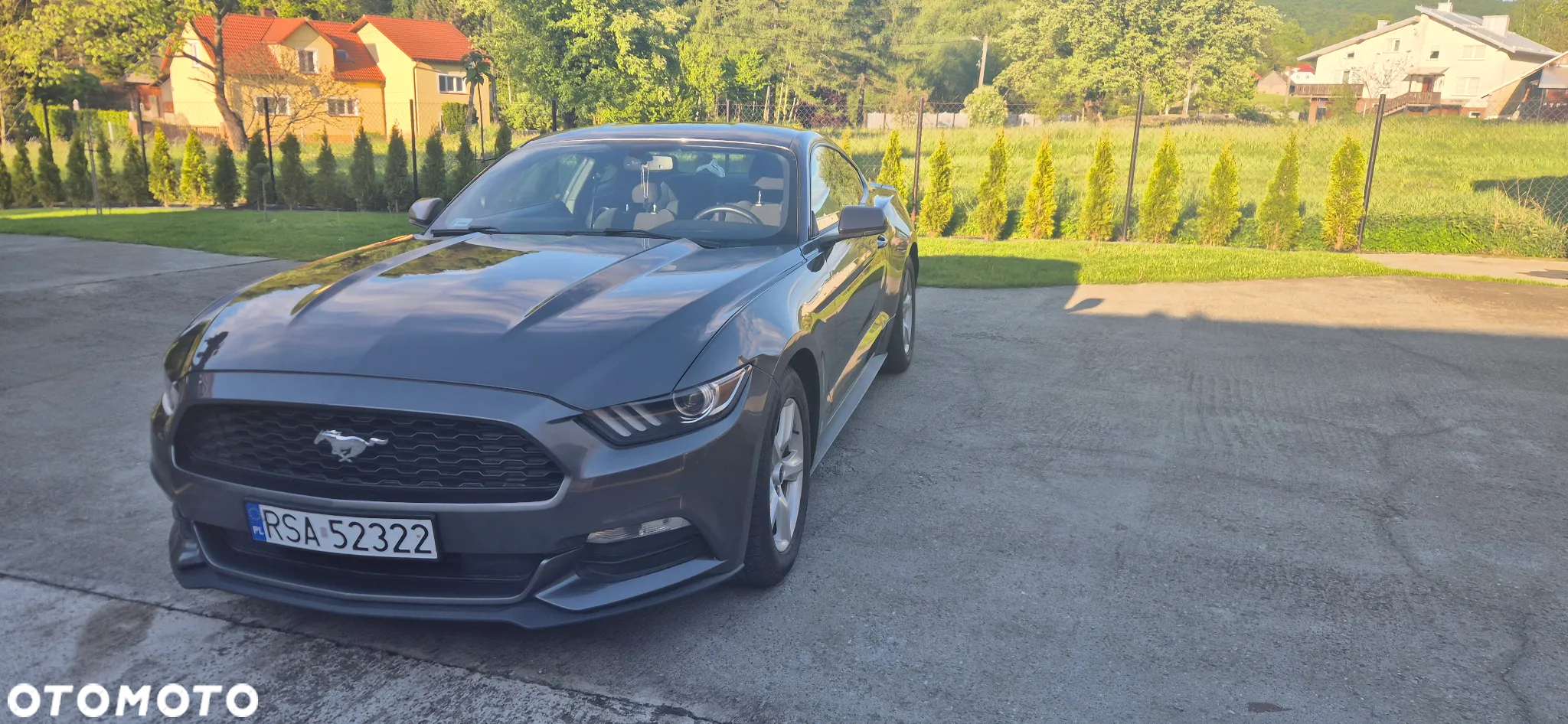 Ford Mustang - 16