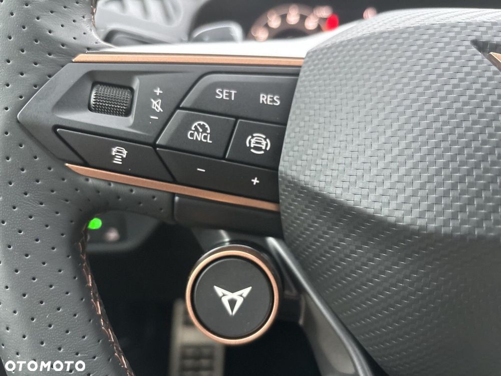 Cupra Terramar 2.0 TSI 4Drive Advantage Edition DSG - 19