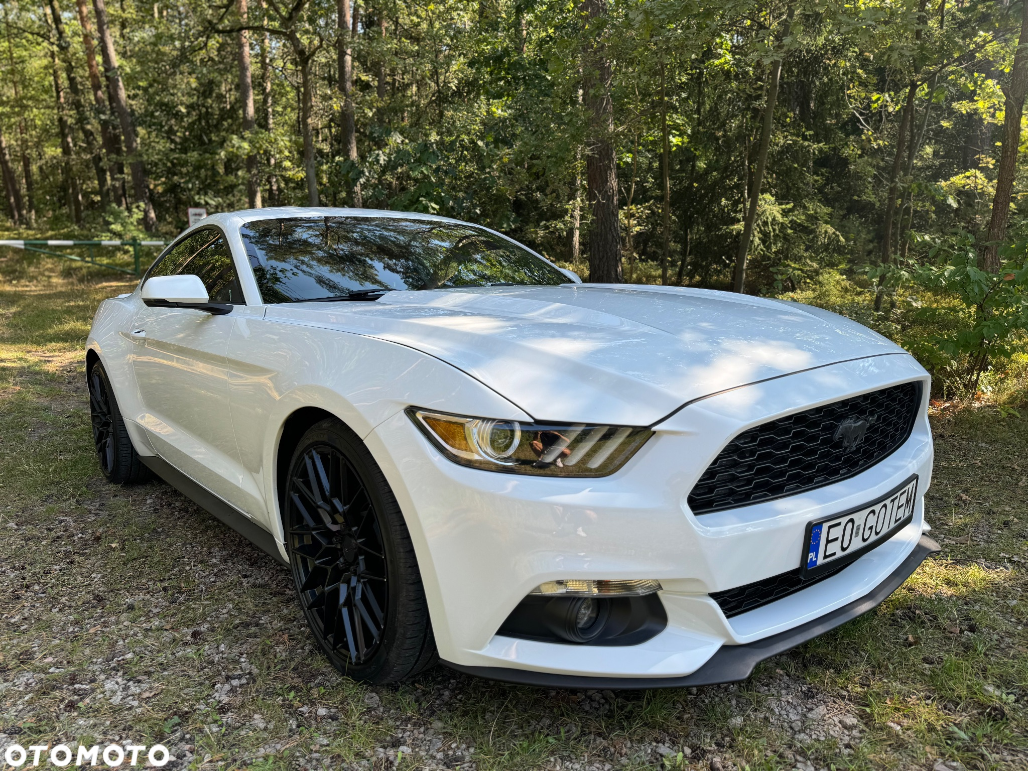 Ford Mustang - 2