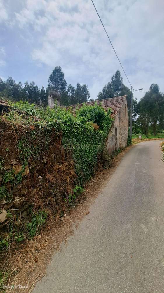 Quinta para venda perto de Dornes -Paio Mendes - Ferreira do Zezere - Grande imagem: 4/38