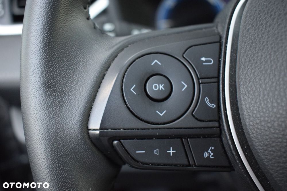 Toyota RAV4 2.5 Hybrid Comfort 4x2 - 22