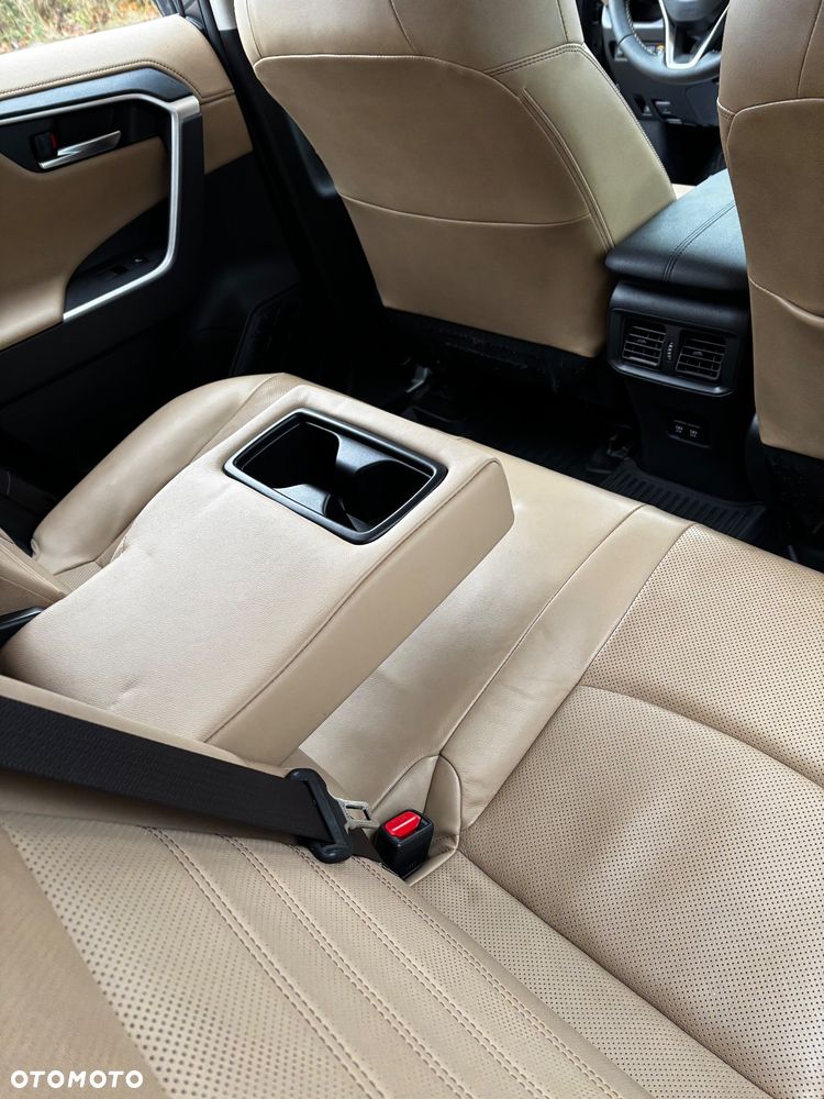 Toyota RAV4 2.5 Hybrid Executive 4x2 - 19