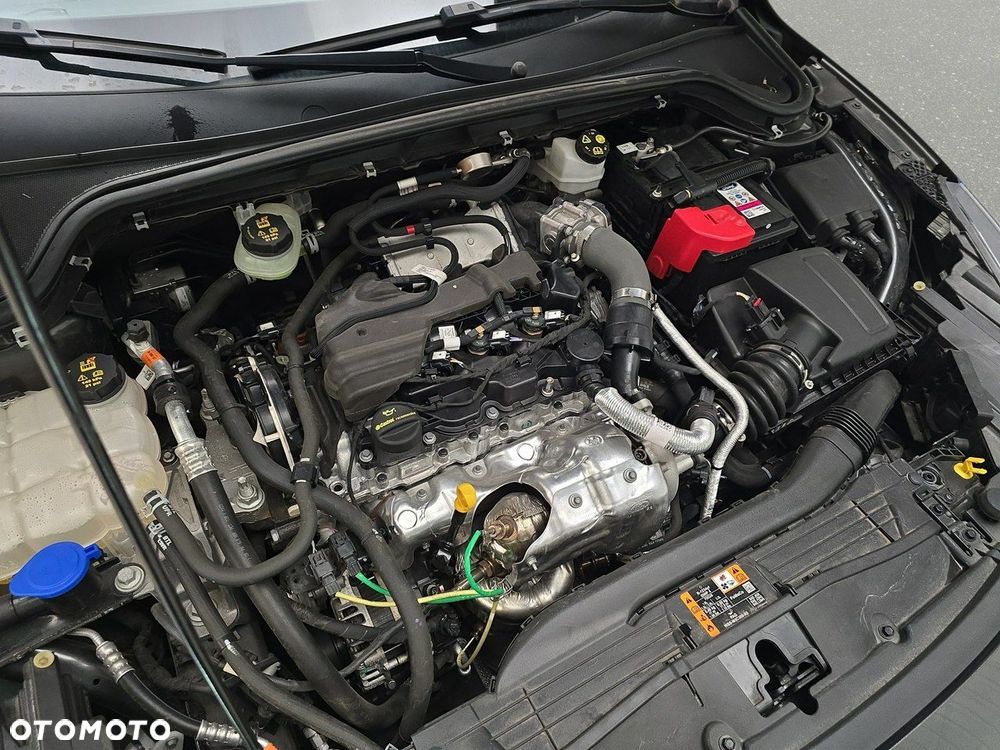 Ford Focus - 14