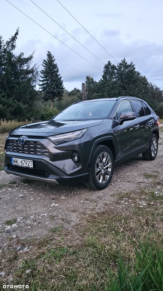 Toyota RAV4 2.5 Hybrid Executive 4x4 - 3