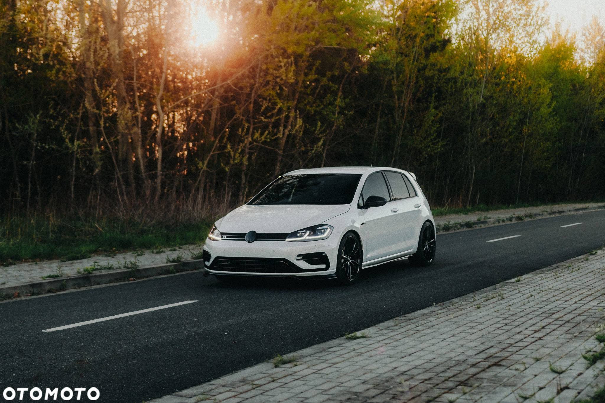 Volkswagen Golf R 4Motion (BlueMotion Technology) DSG - 24