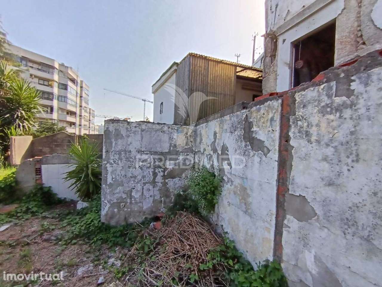 2 Moradias para recuperar - Freixo - Grande imagem: 3/18