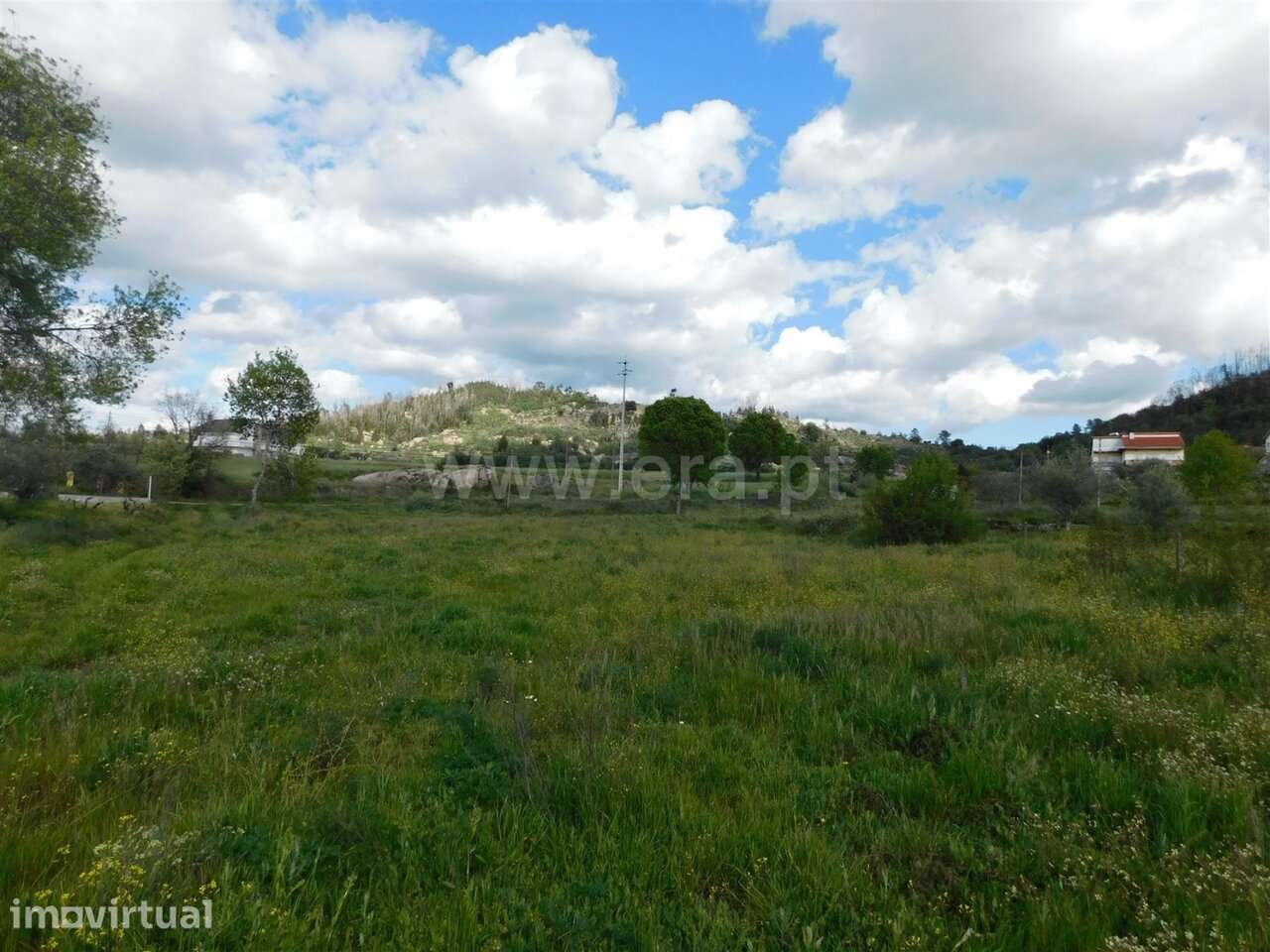 Terreno / Belmonte, Carvalhal Formoso - Grande imagem: 4/14