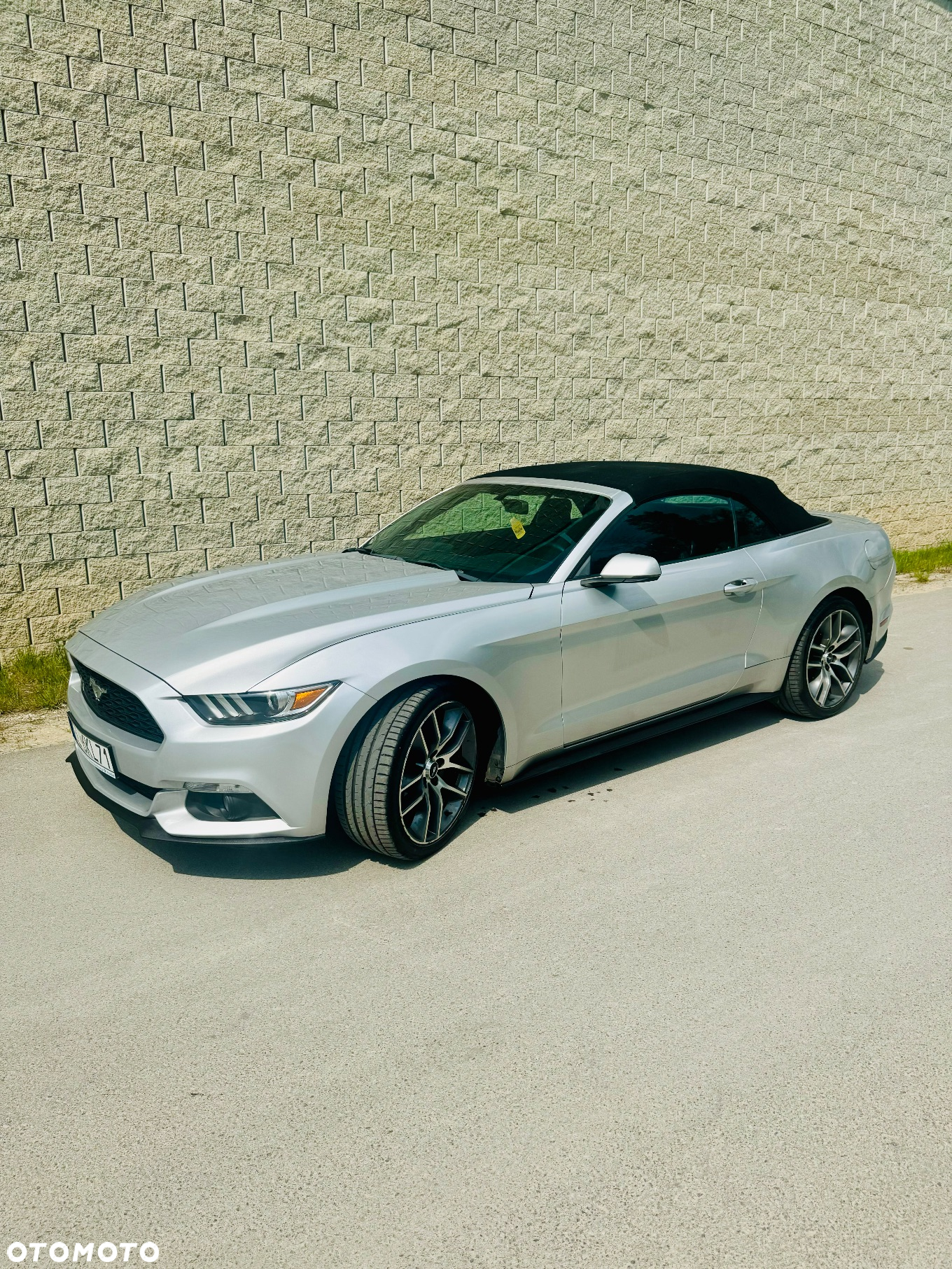 Ford Mustang - 7