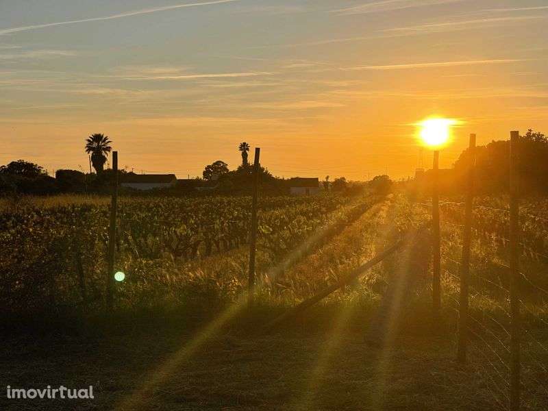 Terreno + Casa Contentor em Palmela - Grande imagem: 5/11