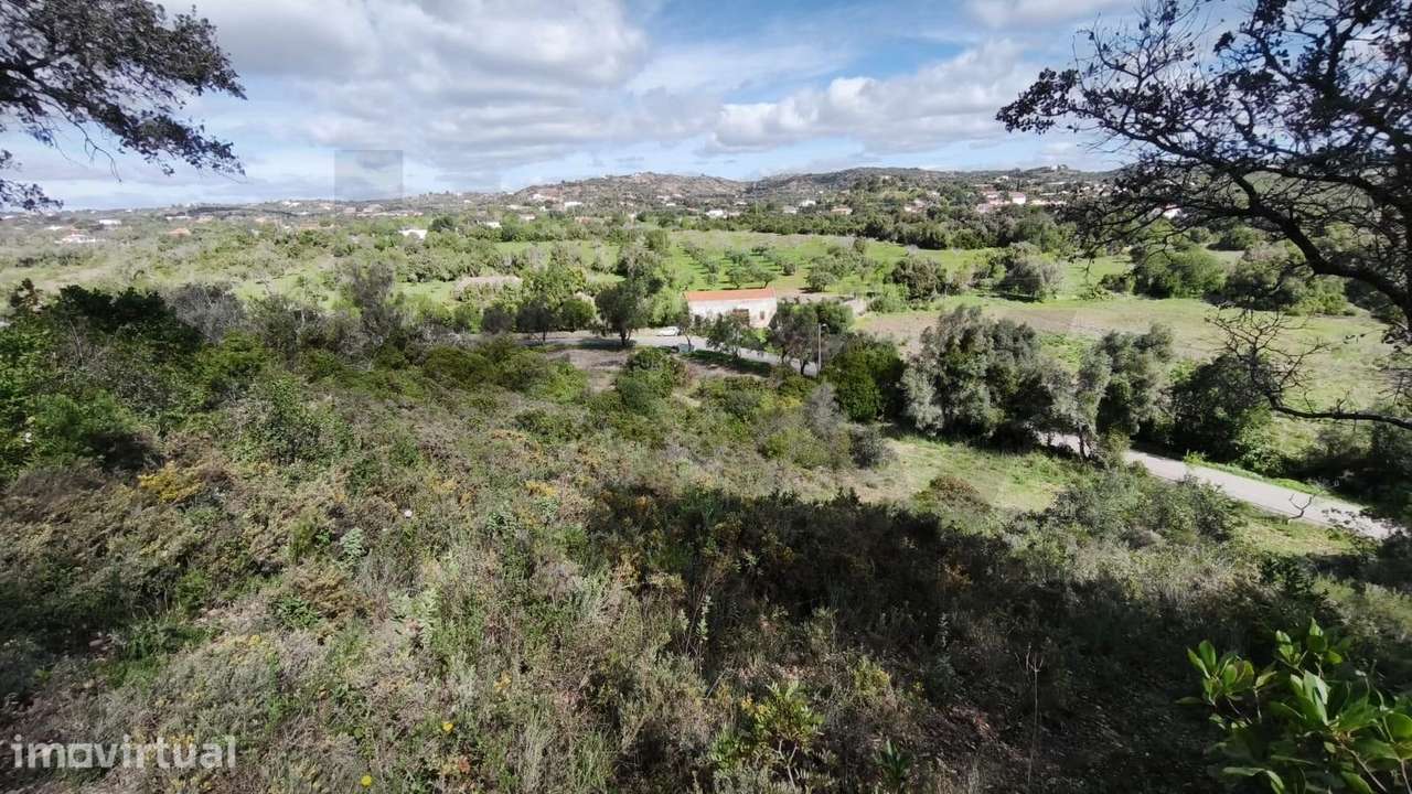 Terreno Rústico com 7500 m2 no Poço Novo - São Clemente - Loulé - Grande imagem: 3/30