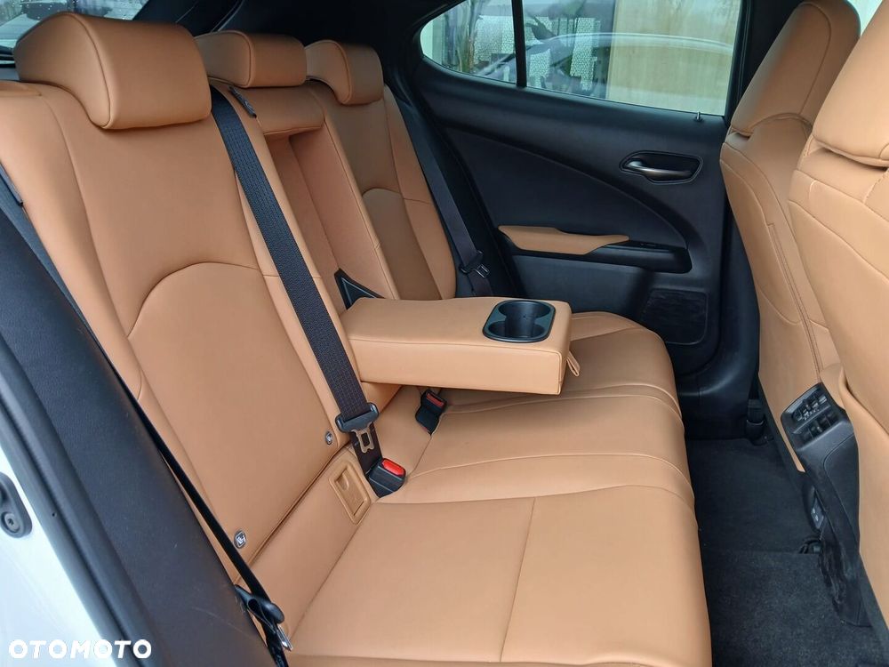 Lexus UX 300h F Sport Design - 31