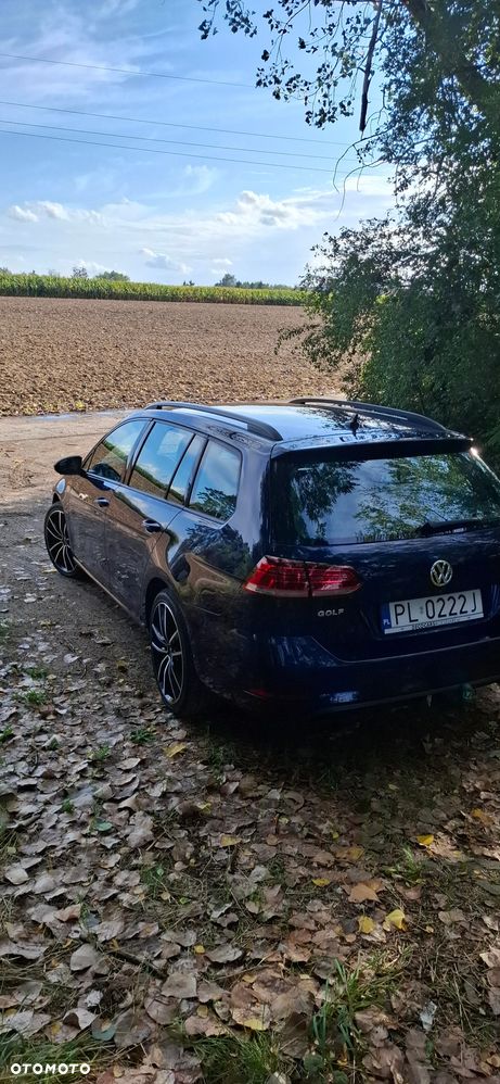 Volkswagen Golf - 21
