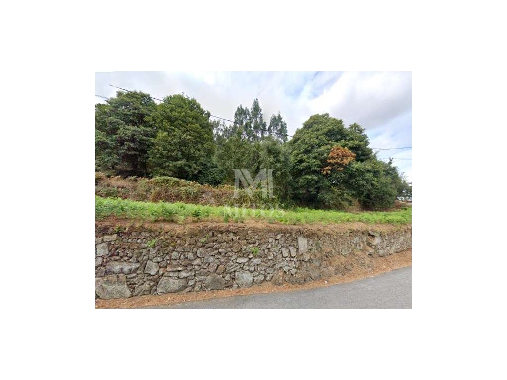 Terreno com ruína em Tregosa - Barcelos - Grande imagem: 4/15